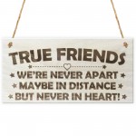 True Friends Never Apart Cute Wooden Hanging Plaque Gift Sign