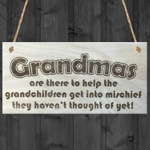 Grandmas Funny Grandchildren Wooden Hanging Plaque Gift Sign