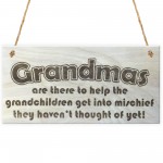 Grandmas Funny Grandchildren Wooden Hanging Plaque Gift Sign