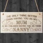 My Children Having You As Their Nanny Love Gift Plaque Sign