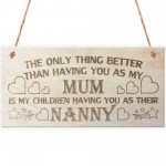 My Children Having You As Their Nanny Love Gift Plaque Sign