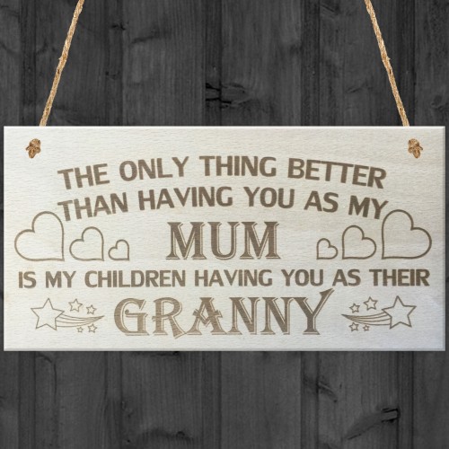 My Children Having You As Their Granny Love Gift Plaque Sign