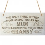 My Children Having You As Their Granny Love Gift Plaque Sign