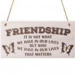 Friendship Not What But Who Wooden Hanging Plaque