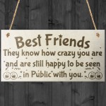 Best Friends Know How Crazy You Are Wooden Hanging Plaque