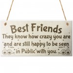 Best Friends Know How Crazy You Are Wooden Hanging Plaque