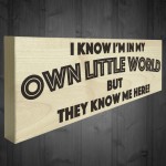 My Own Little World Wooden Freestanding Novelty Plaque 