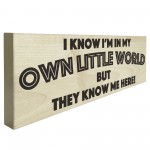 My Own Little World Wooden Freestanding Novelty Plaque 