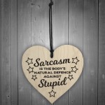 Sarcasm Against Stupid Novelty Wooden Hanging Heart Plaque